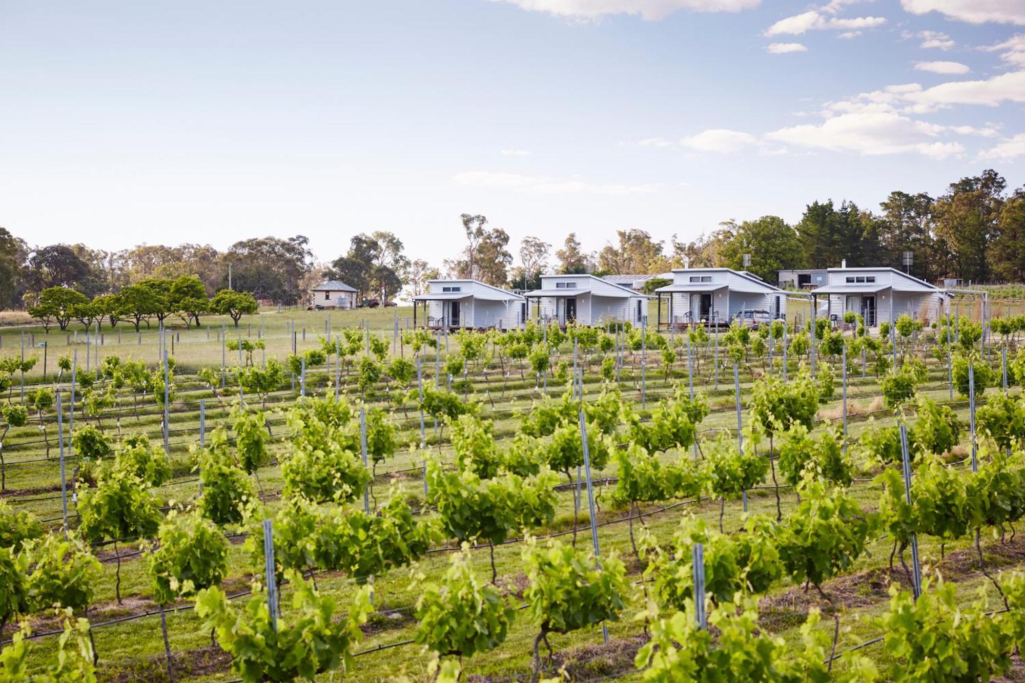 Ridgemill Estate Aparthotel Stanthorpe Εξωτερικό φωτογραφία