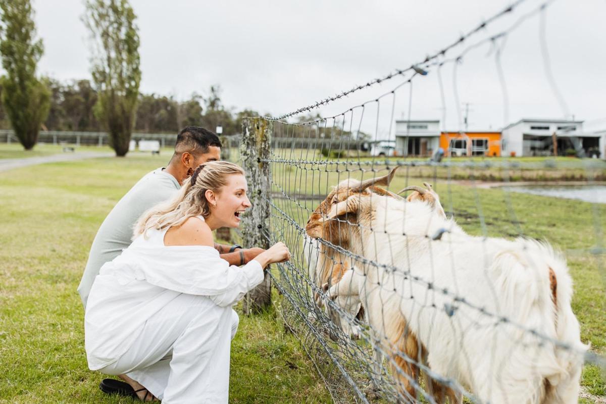 Ridgemill Estate Aparthotel Stanthorpe Εξωτερικό φωτογραφία
