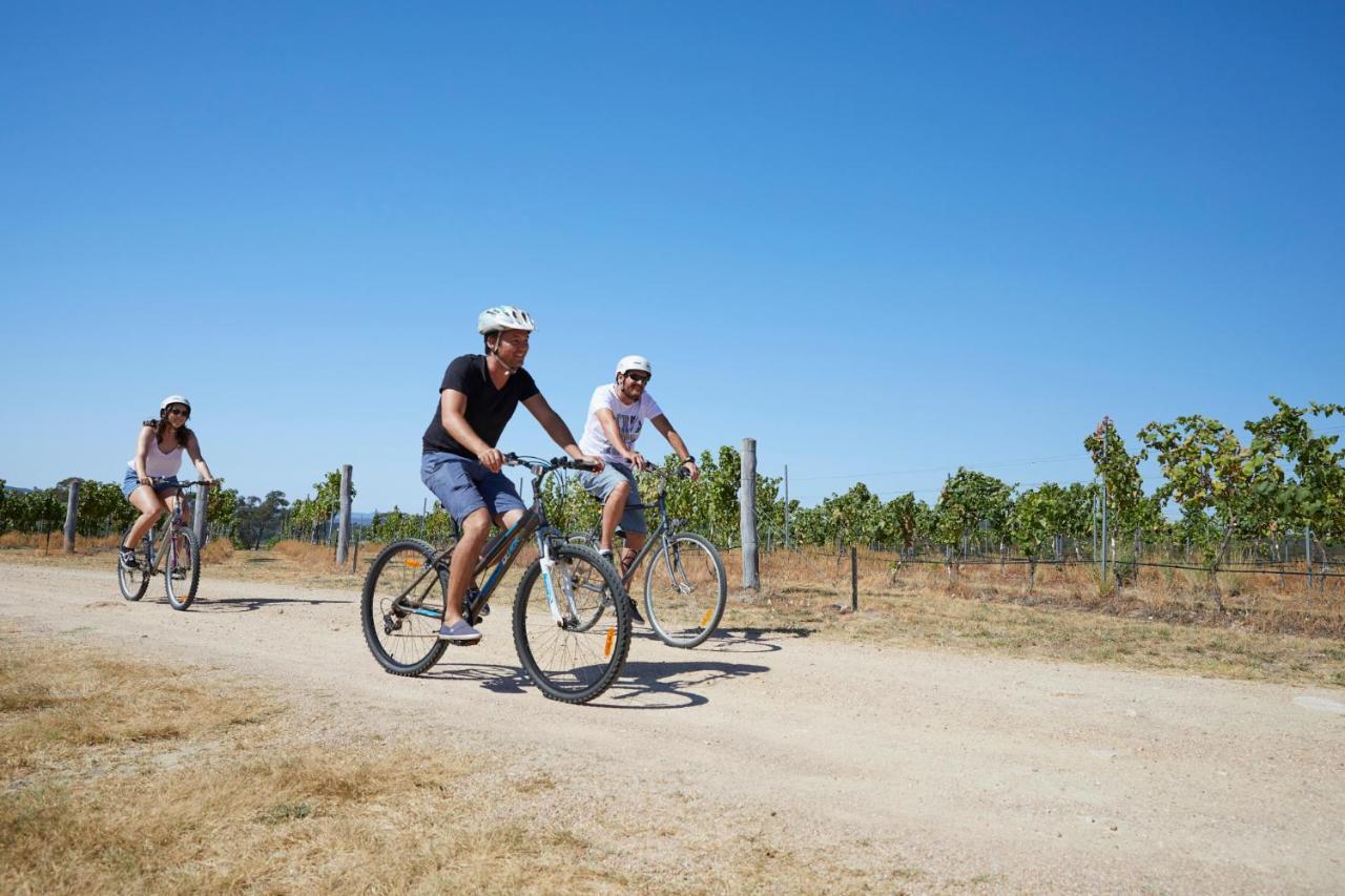 Ridgemill Estate Aparthotel Stanthorpe Εξωτερικό φωτογραφία